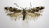  ( - jflandry0769)  @14 [ ] Copyright (2007) Unspecified Canadian National Collection