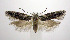 ( - jflandry0773)  @14 [ ] Copyright (2007) Unspecified Canadian National Collection