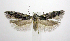  ( - jflandry0774)  @14 [ ] Copyright (2007) Unspecified Canadian National Collection