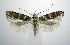  ( - jflandry0616)  @14 [ ] Copyright (2007) Unspecified Canadian National Collection