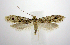  ( - jflandry0785)  @13 [ ] Copyright (2007) Unspecified Canadian National Collection