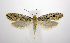  ( - jflandry0784)  @13 [ ] Copyright (2007) Unspecified Canadian National Collection