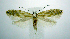  ( - jflandry0619)  @14 [ ] Copyright (2007) Unspecified Canadian National Collection