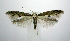  ( - jflandry0780)  @14 [ ] Copyright (2007) Unspecified Canadian National Collection