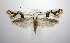  ( - jflandry0846)  @14 [ ] Copyright (2007) Unspecified Canadian National Collection