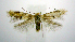  ( - jflandry0894)  @13 [ ] CreativeCommons - Attribution (2010) Unspecified Centre for Biodiversity Genomics
