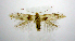  ( - jflandry0895)  @14 [ ] Copyright (2007) Unspecified Canadian National Collection