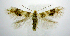  ( - jflandry0888)  @14 [ ] Copyright (2007) Unspecified Canadian National Collection