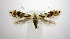  ( - jflandry0643)  @14 [ ] Copyright (2007) Unspecified Canadian National Collection