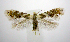  ( - jflandry0437)  @14 [ ] Copyright (2007) Unspecified Canadian National Collection