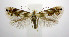  ( - jflandry0421)  @14 [ ] Copyright (2007) Unspecified Canadian National Collection