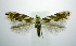  ( - jflandry0620)  @14 [ ] Copyright (2007) Unspecified Canadian National Collection