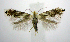  ( - jflandry0591)  @14 [ ] Copyright (2007) Unspecified Canadian National Collection