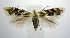  ( - jflandry0665)  @14 [ ] Copyright (2007) Unspecified Canadian National Collection