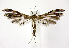  ( - jflandry0837)  @14 [ ] Copyright (2007) Unspecified Canadian National Collection