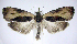 ( - jflandry0832)  @14 [ ] CreativeCommons - Attribution (2010) Unspecified Centre for Biodiversity Genomics
