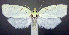  ( - jflandry1088)  @14 [ ] Copyright (2007) Unspecified Canadian National Collection