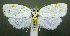  ( - jflandry1072)  @14 [ ] Copyright (2007) Unspecified Canadian National Collection