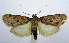  ( - jflandry1073)  @14 [ ] Copyright (2007) Unspecified Canadian National Collection