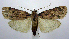  ( - jflandry1077)  @14 [ ] Copyright (2007) Unspecified Canadian National Collection