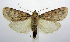  ( - jflandry1078)  @14 [ ] Copyright (2007) Unspecified Canadian National Collection