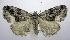  ( - jflandry1082)  @14 [ ] Copyright (2007) Unspecified Canadian National Collection
