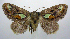  ( - jflandry1084)  @14 [ ] Copyright (2007) Unspecified Canadian National Collection
