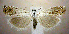  ( - jflandry1032)  @14 [ ] Copyright (2007) Unspecified Canadian National Collection