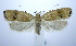  ( - jflandry1040)  @14 [ ] CreativeCommons - Attribution (2010) Unspecified Centre for Biodiversity Genomics