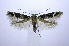  ( - jflandry0974)  @14 [ ] Copyright (2007) Unspecified Canadian National Collection