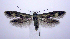  ( - jflandry0991)  @13 [ ] Copyright (2007) Unspecified Canadian National Collection