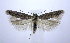  ( - jflandry0969)  @14 [ ] Copyright (2007) Unspecified Canadian National Collection