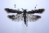  ( - jflandry1009)  @14 [ ] CreativeCommons - Attribution (2010) Unspecified Centre for Biodiversity Genomics