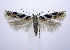  ( - jflandry0953)  @13 [ ] Copyright (2007) Unspecified Canadian National Collection