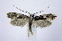  ( - jflandry0950)  @13 [ ] Copyright (2007) Unspecified Canadian National Collection