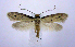  ( - jflandry0995)  @14 [ ] Copyright (2007) Unspecified Canadian National Collection