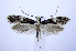  ( - jflandry0951)  @14 [ ] Copyright (2007) Unspecified Canadian National Collection