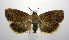  ( - jflandry1050)  @14 [ ] Copyright (2007) Unspecified Canadian National Collection