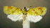  ( - jflandry1071)  @14 [ ] Copyright (2007) Unspecified Canadian National Collection