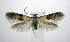  ( - jflandry0957)  @14 [ ] CreativeCommons - Attribution (2010) Unspecified Centre for Biodiversity Genomics