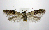  ( - jflandry0958)  @14 [ ] CreativeCommons - Attribution (2010) Unspecified Centre for Biodiversity Genomics