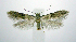  ( - jflandry0959)  @14 [ ] CreativeCommons - Attribution (2010) Unspecified Centre for Biodiversity Genomics
