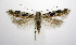  ( - jflandry0954)  @14 [ ] Copyright (2007) Unspecified Canadian National Collection