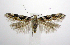 ( - jflandry0955)  @14 [ ] Copyright (2007) Unspecified Canadian National Collection