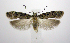  ( - jflandry1003)  @14 [ ] Copyright (2007) Unspecified Canadian National Collection