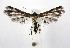  ( - jflandry1022)  @14 [ ] Copyright (2007) Unspecified Canadian National Collection