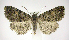  ( - jflandry1079)  @14 [ ] Copyright (2007) Unspecified Canadian National Collection