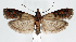  ( - jflandry1184)  @14 [ ] Copyright (2007) Unspecified Canadian National Collection