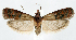  ( - jflandry1189)  @14 [ ] Copyright (2007) Unspecified Canadian National Collection