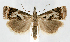  ( - jflandry1215)  @15 [ ] Copyright (2007) Unspecified Canadian National Collection
